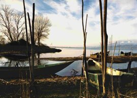 25d4f092-8719-4963-bca4-24dd1ed67f1d