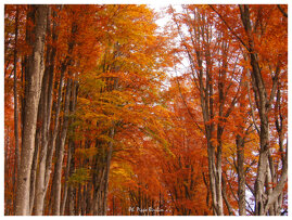 75e964b7-d238-4f06-932e-4c1ba4a7b91b