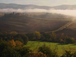 dd850cea-2d4a-4925-85fd-092882a91719