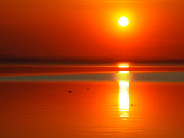 b3990b07-d3d2-4d2c-8475-37f2b0680071