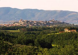 24cf84aa-59e2-4020-a84c-71b2ad1fce16