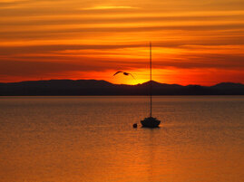 ef5601d4-97c2-4d12-b850-0505677c31d0