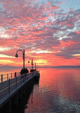 3e4e090c-1faf-4462-9cbe-14d756fc63c4