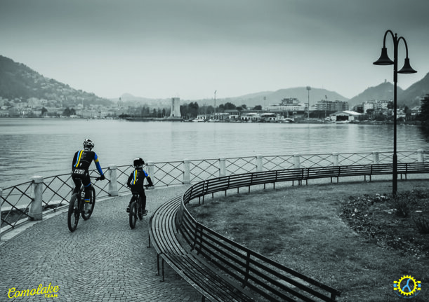 4bcfdf9c-e016-462c-9f2f-bdb8bfa528c4