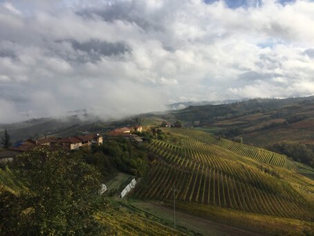 6cafaaf2-e000-4981-b4a3-59bd53dca1f0