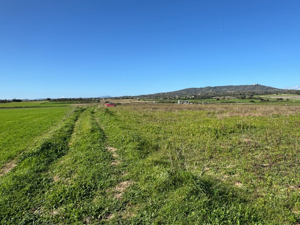 whatsapp image 2025-09-18 at 13.50.42 (4).jpeg