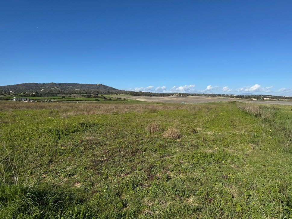 whatsapp image 2025-09-18 at 13.50.42 (5).jpeg