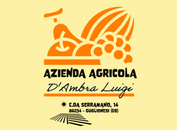 azienda agricola d'ambra