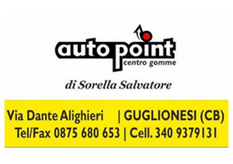 logo autopoint