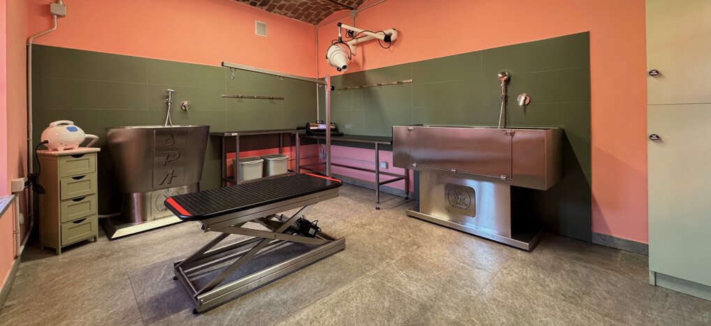 immagine di copertina toeletttura.jpeg immagine di copertina toeletttura.jpeg