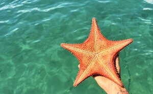 img_7775.jpeg