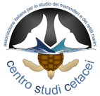 276322063_334950142012248_3387379387770436490_n 276322063_334950142012248_3387379387770436490_n