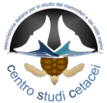 Partner centro cetacei Pescara