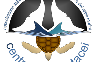 marchio_dip%20scienze%20biol%20geol%20ambient_bigea_en marchio_dip%20scienze%20biol%20geol%20ambient_bigea_en