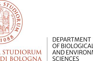 cache_17940400.jpeg cache_17940400.jpeg