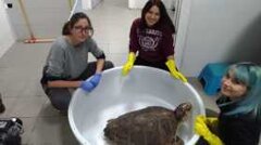 cache_17940400.jpeg cache_17940400.jpeg