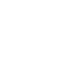 logo copia
