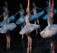 8c487182-d1d9-47c1-9e55-2337d3ca9e2d 8c487182-d1d9-47c1-9e55-2337d3ca9e2d