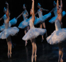 8c487182-d1d9-47c1-9e55-2337d3ca9e2d 8c487182-d1d9-47c1-9e55-2337d3ca9e2d