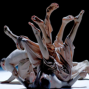 57f1cc00-52c9-49fb-a492-004db41ba5d5