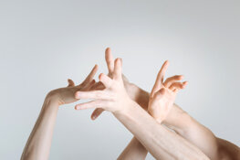 8c56ec37-537a-4bb2-8fee-08ee4a25caee