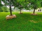 panchina-a-liste-contorno-albero-mt-1