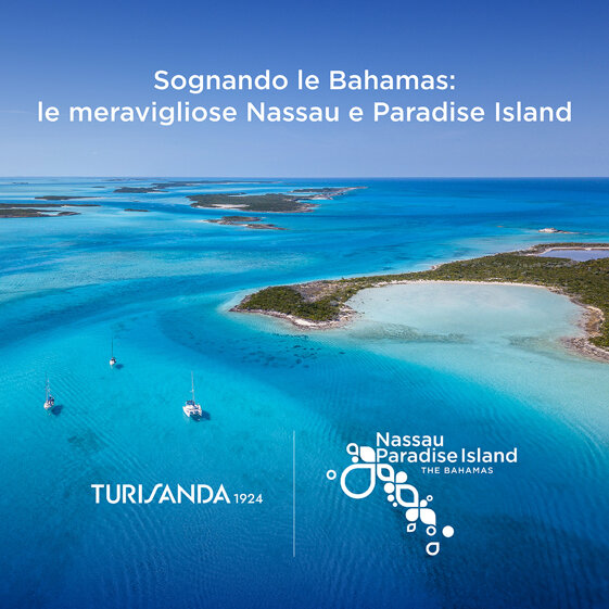 37692d82-aa62-43af-9e06-54167a94f5bb