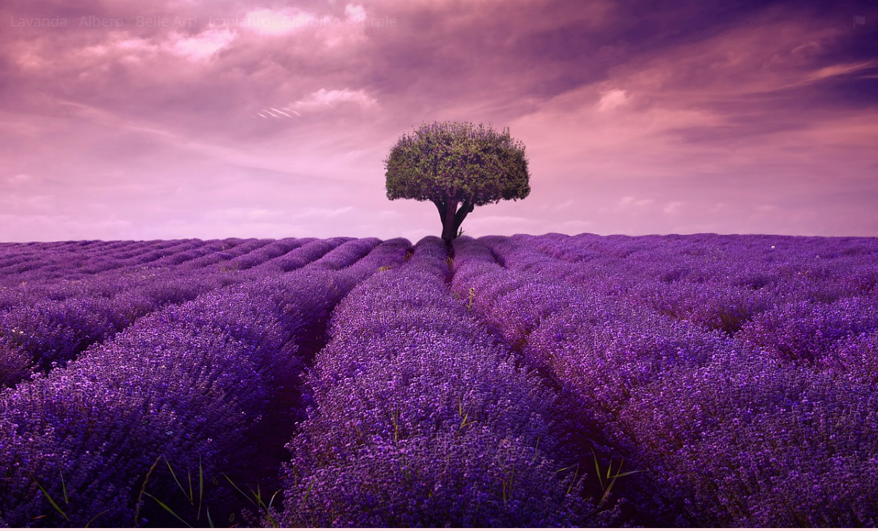 33c20c7c-ae8d-4ee5-8fbf-ef673d1094ac