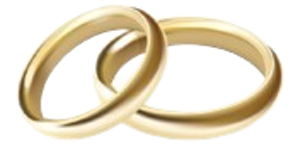 f8335026-4aac-4536-b5ca-a603ad65358e