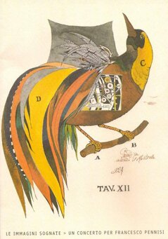 pennisi-disegno-1 pennisi-disegno-1