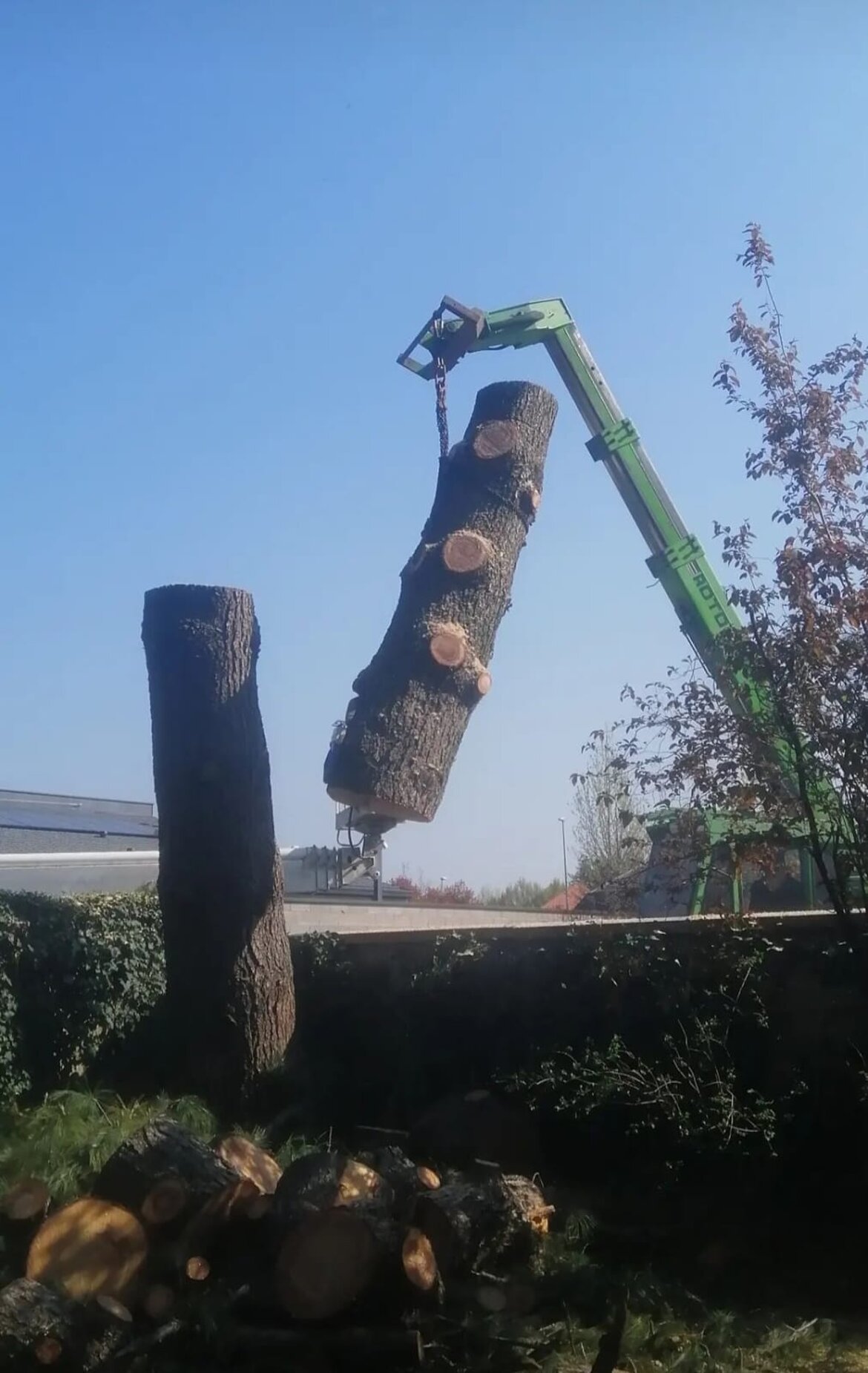 Merlo roto