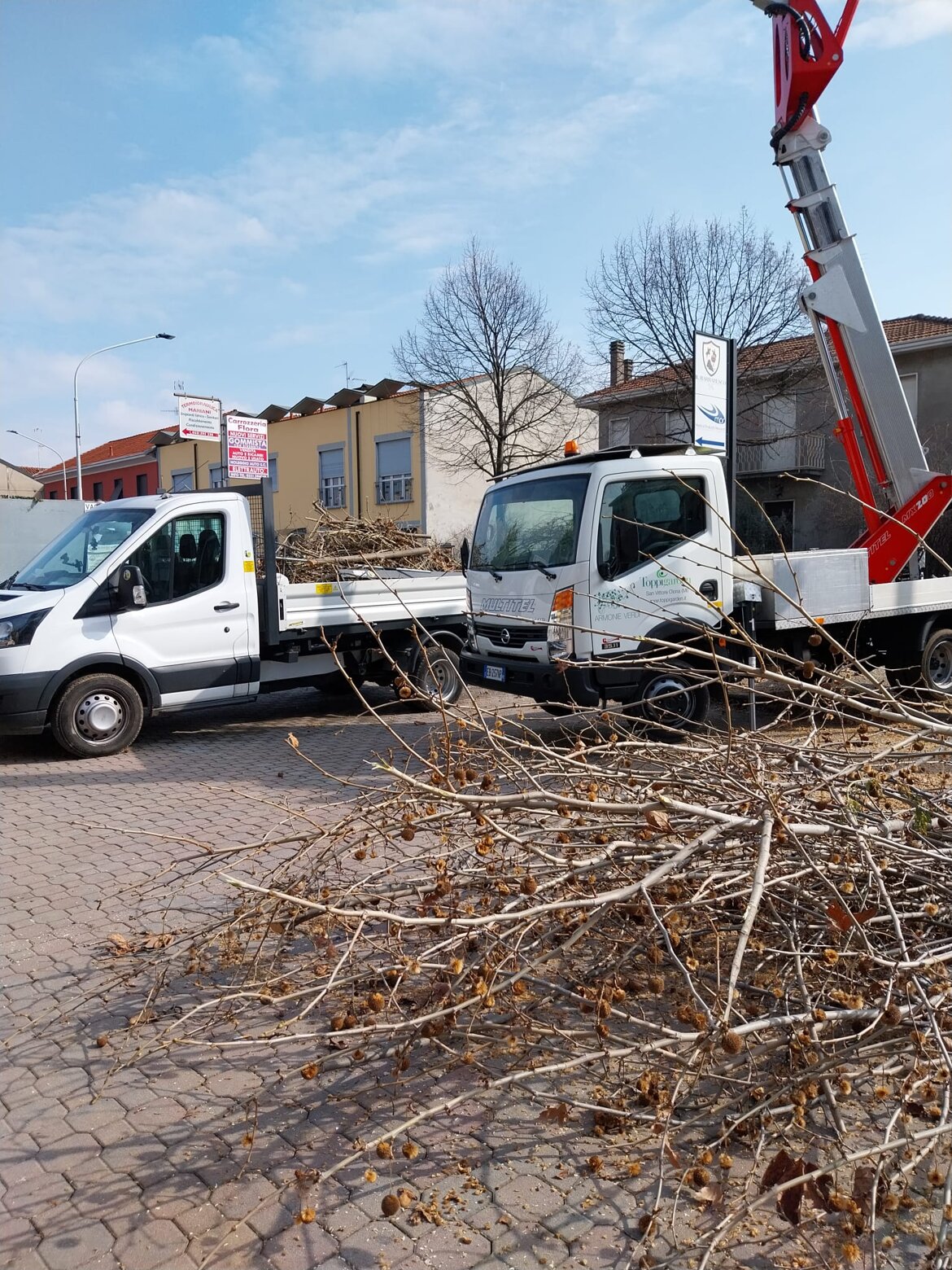 Cestello per potatura alberi alto fusto