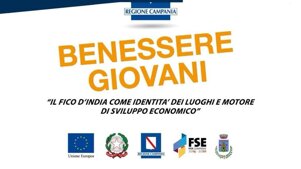 fe64401a-6c10-4e8a-8da3-c42bab0fe73d