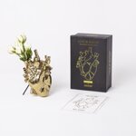 vaso-cuore