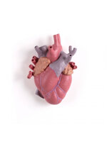 vaso-cuore