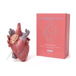 vaso-cuore
