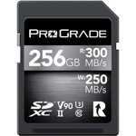 scheda-di-memoria-di-tipo-a-prograde-256-gb