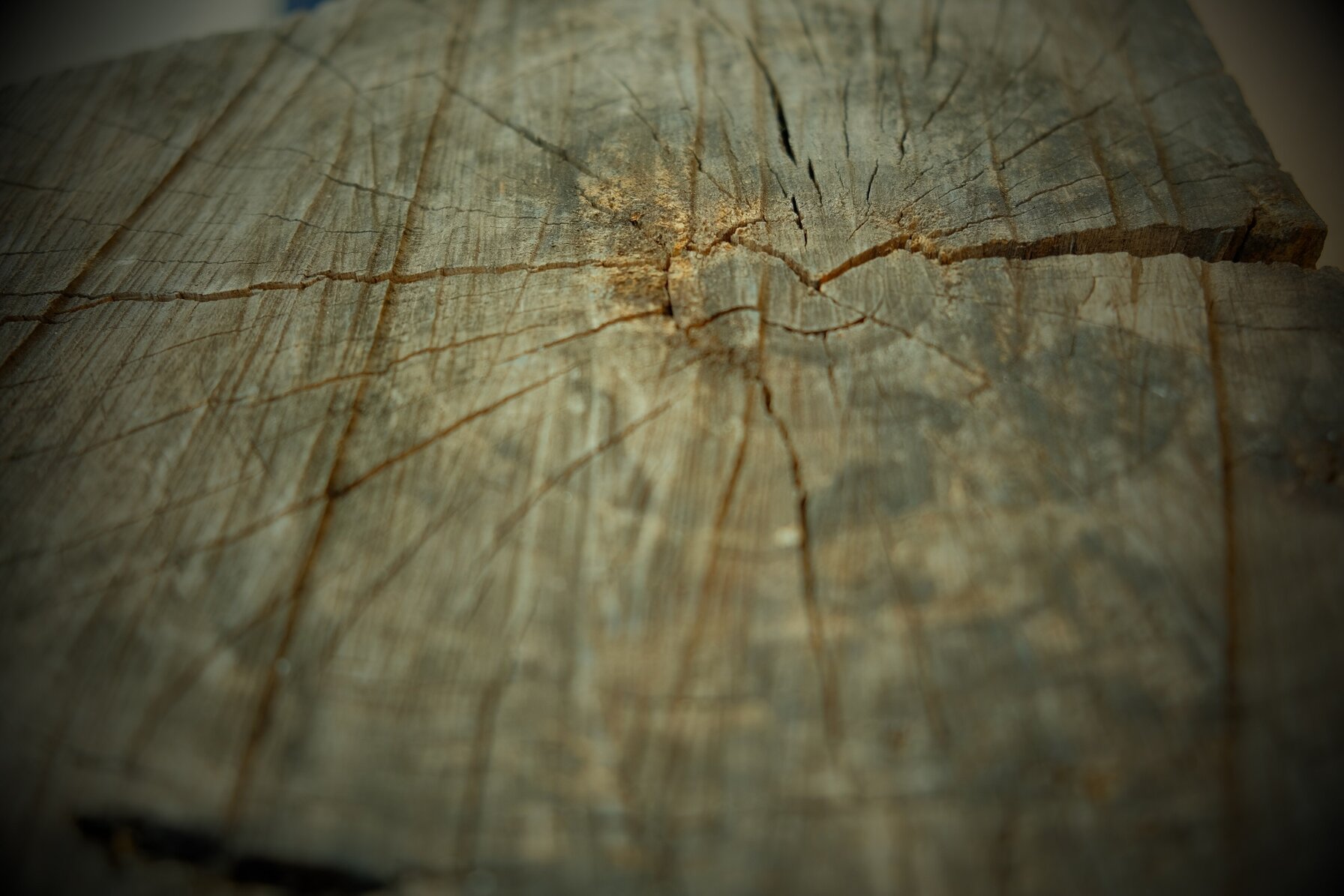 e56acaee-6013-44fa-84af-9f1b350f4aaf