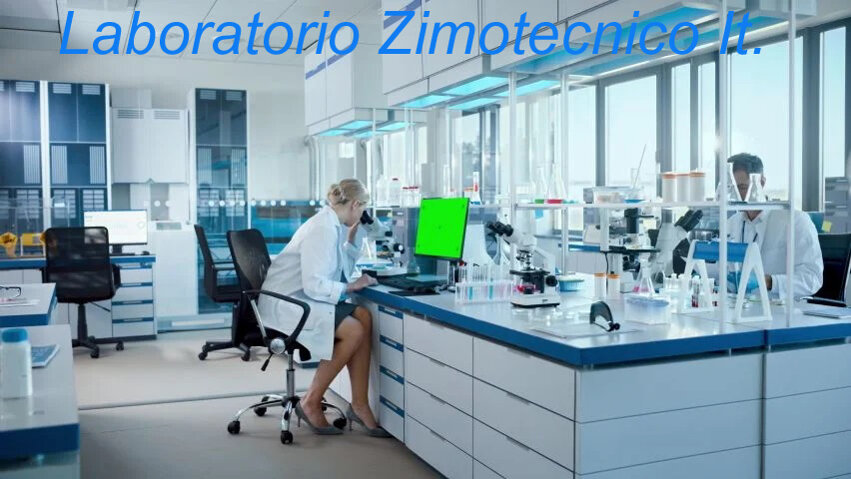 14004749-8e9b-404d-937b-43adc4e4de61 14004749-8e9b-404d-937b-43adc4e4de61