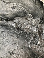 silvery-autumn-silvery-autumn