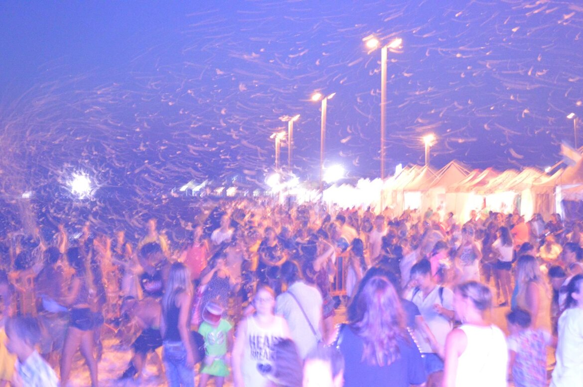 82cee3e0-44c1-40a6-9669-c6845a838edf