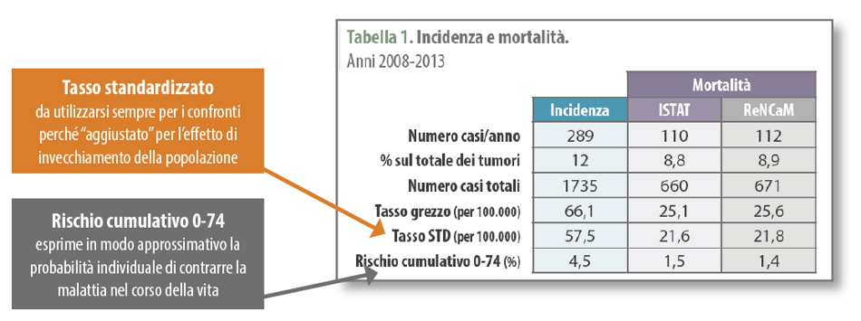 96448b54-f3ed-4184-9894-31e36b42186d