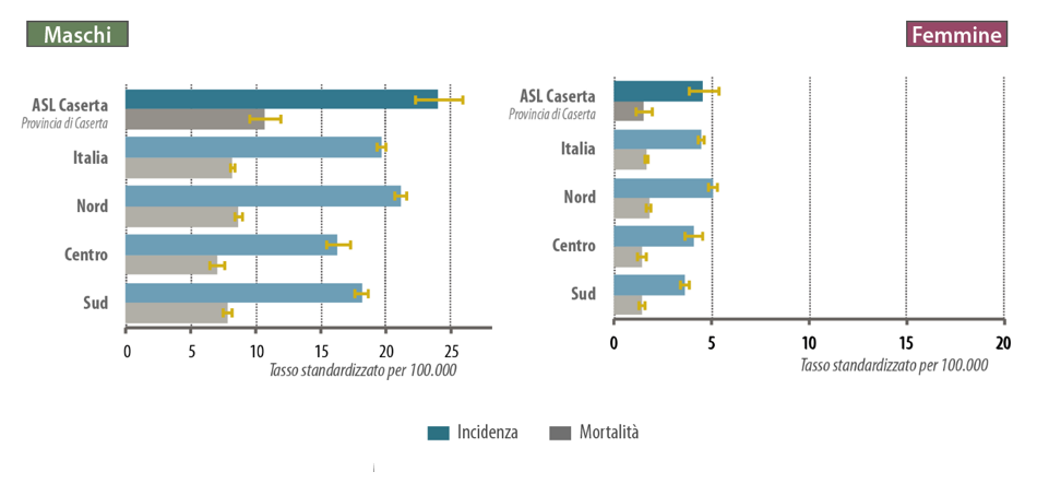 8aee9013-621b-482d-8b0a-3477f7bcb001