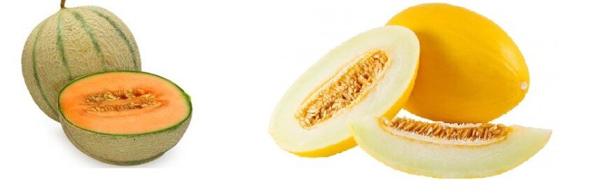 a7b1afe4-b58e-4348-8672-91201e3bbdc8