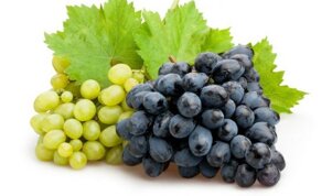 uva-alzheimer-memoria-malattia-studio-25231