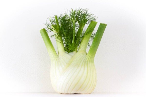 22ce149b-3caa-4db4-97ea-34fcce789b90