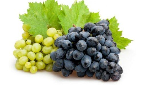 e7c42a45-5fdc-4003-8674-83c5bef8021c