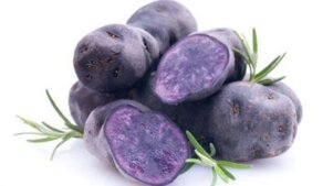 1b446663-781d-46c2-ac37-d956313fec47