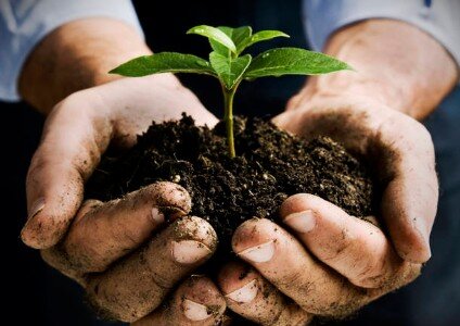 770b1605-9ff2-436a-aef9-b0603ad1cac8