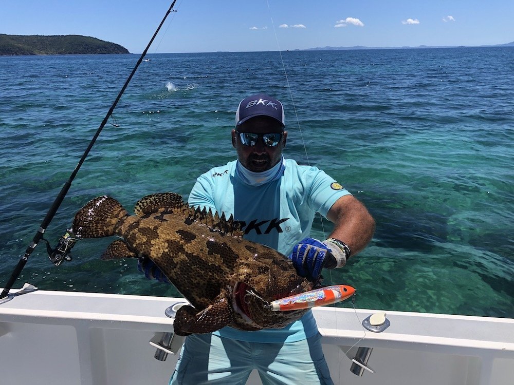 Le Cernie del madagascar